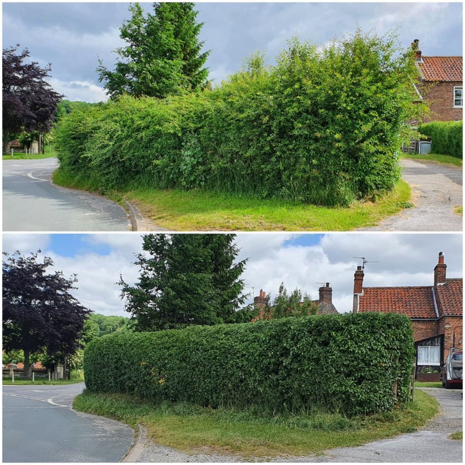 Hedge cutting services a little about Bebington Gardening Co